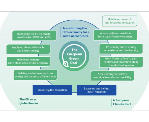 <p>The European Green Deal, launched to make Europe climate-neutral by 2050, has led to various regulations. Including the Batteries Regulation that came into effect in 2023, which aims on ensuring the sustainability of batteries. We developed a sustainability strategy for Umicore’s battery value chain, a key player in circular materials technology.</p>