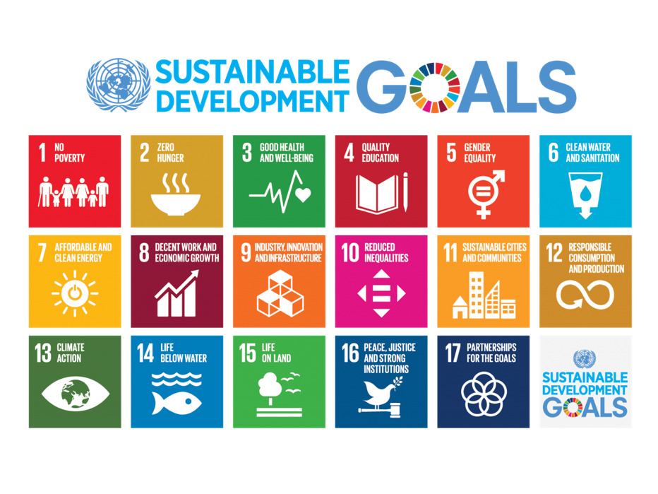 <p>A milestone was the launch of the UN Sustainable Development Goals (SDGs) and the Science Based Targets initiative (SBTi) for reducing greenhouse gas emissions. This year, we also began our partnership with Vandemoortele, a leading European food company, developing sustainability strategies, stakeholder engagement, sustainability reporting, and interim management.</p>