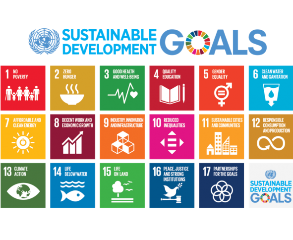 <p>A milestone was the launch of the UN Sustainable Development Goals (SDGs) and the Science Based Targets initiative (SBTi) for reducing greenhouse gas emissions. This year, we also began our partnership with Vandemoortele, a leading European food company, developing sustainability strategies, stakeholder engagement, sustainability reporting, and interim management.</p>