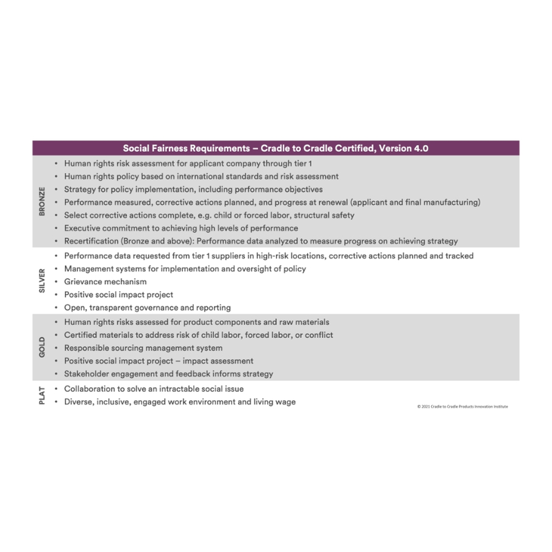 Social-Fairness-Requirements