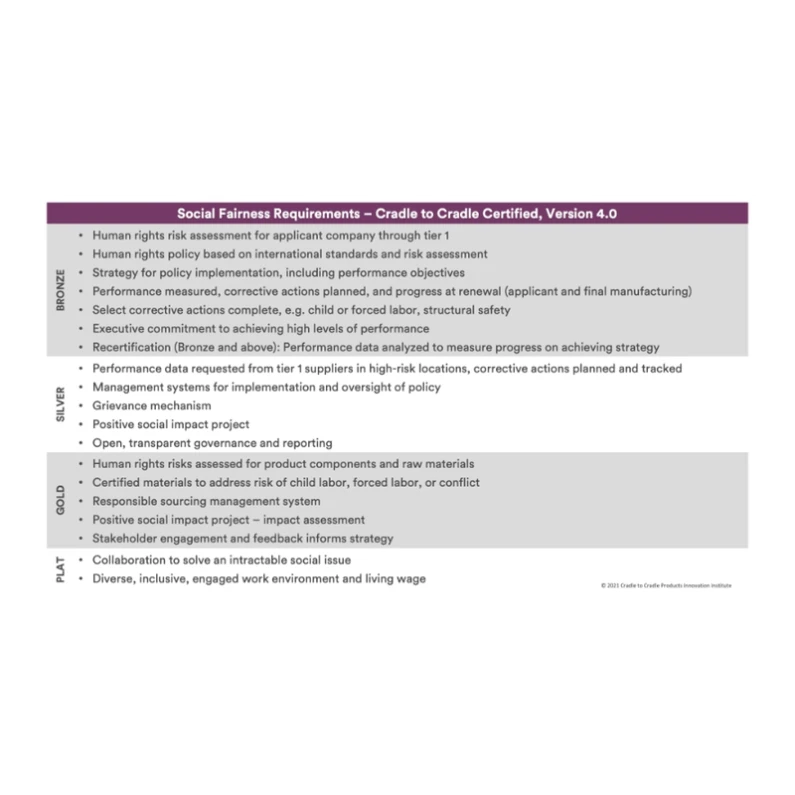 Social-Fairness-Requirements