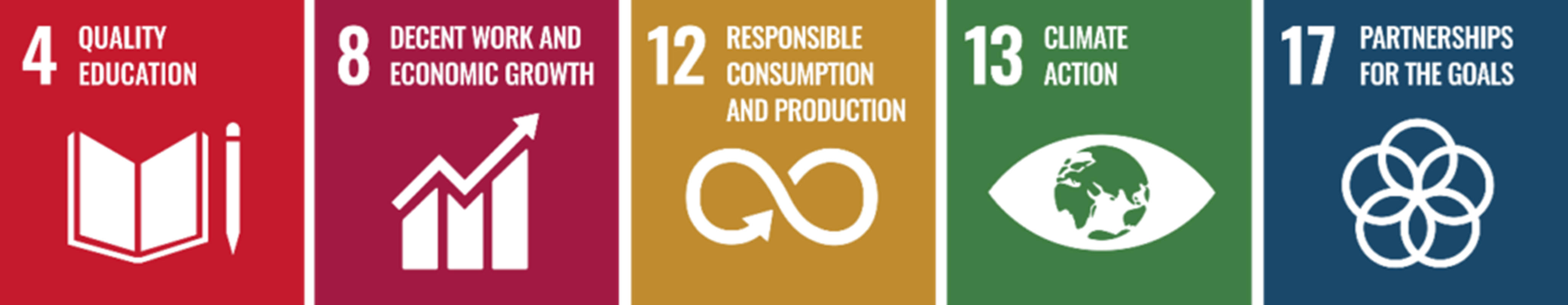 we have identified five SDGs to which we primarily contribute through our work.